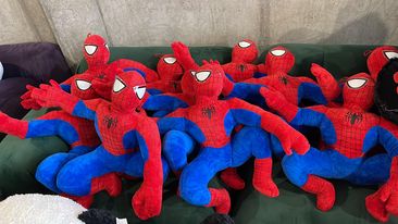 თოჯინა სპაიდერმენი