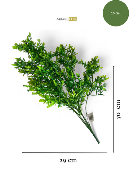 დეკორატიული გამწვანება