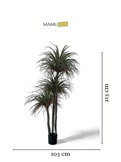 დეკორატიული ხე