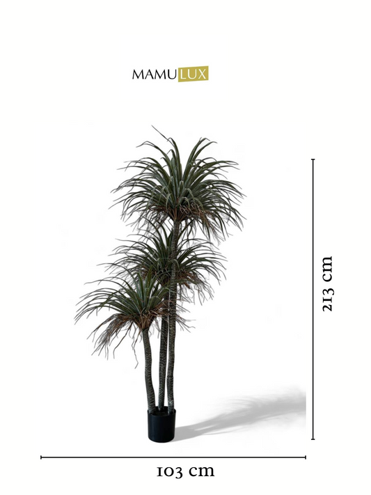 დეკორატიული ხე