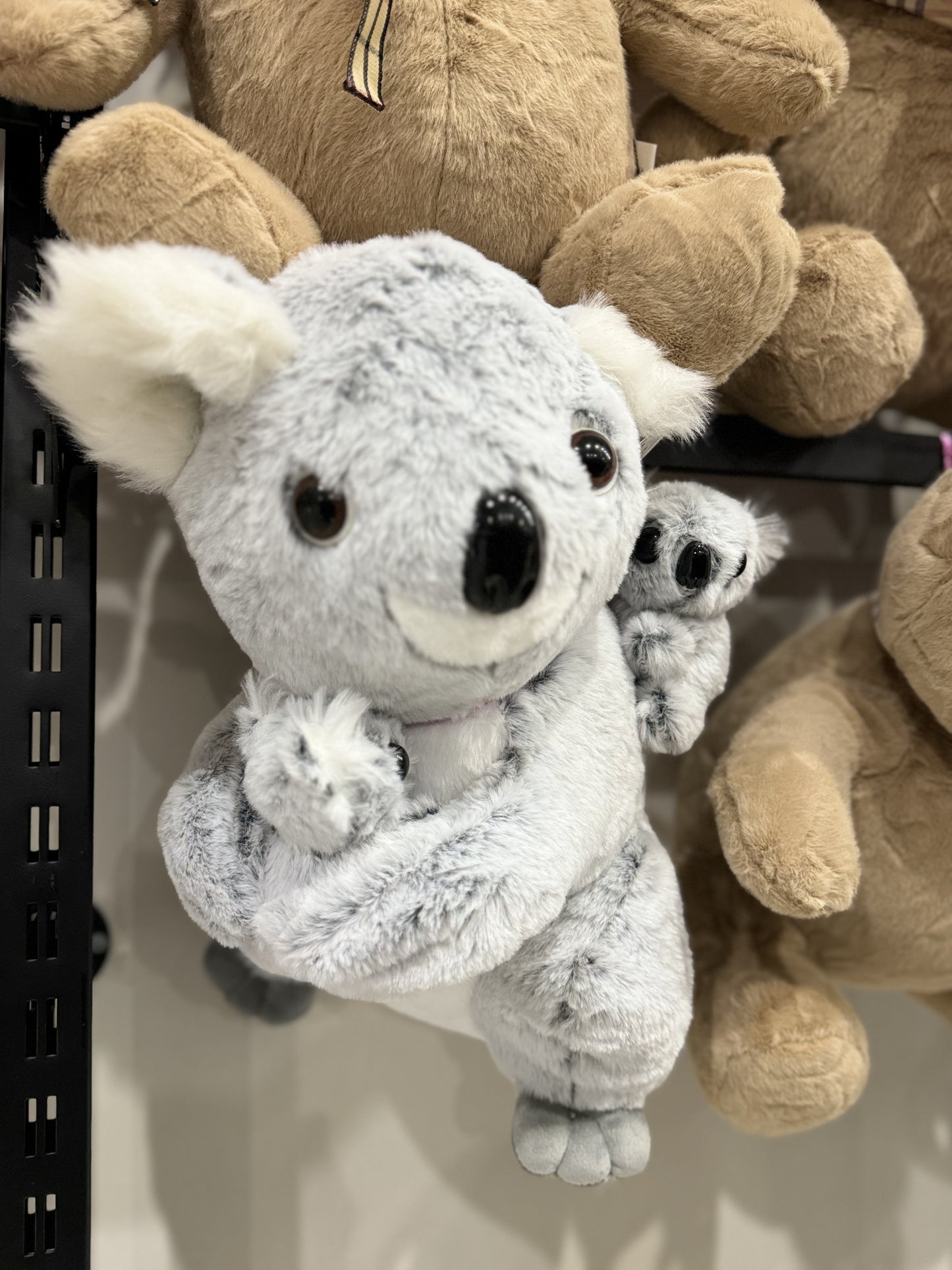 თოჯინა კოალა