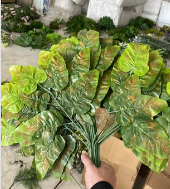 დეკორატიული გამწვანება