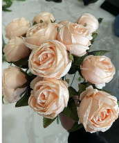 დეკორატიული გამწვანება