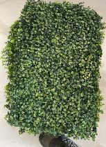 დეკორატიული გამწვანება